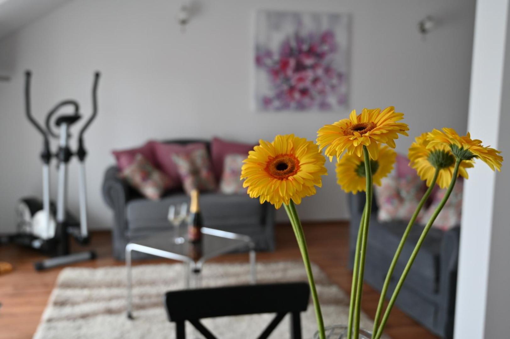 Apartmani Lucija Ludbreg ภายนอก รูปภาพ